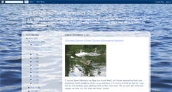 Desktop Screenshot of canoetennessee.blogspot.com