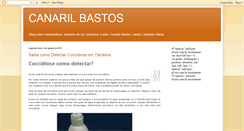 Desktop Screenshot of canarilbastos.blogspot.com