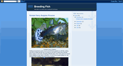 Desktop Screenshot of breeding-fish.blogspot.com