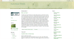 Desktop Screenshot of northbuckswildlife.blogspot.com