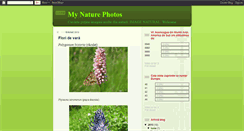 Desktop Screenshot of antonbaceaphotos.blogspot.com