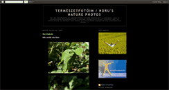 Desktop Screenshot of ndrusnaturephotos.blogspot.com