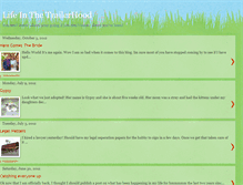 Tablet Screenshot of mylifeinthetrailerhood.blogspot.com