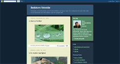 Desktop Screenshot of bodskov.blogspot.com