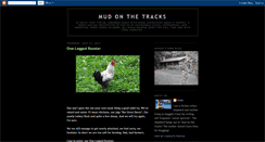 Desktop Screenshot of maggiesfarmicelandics.blogspot.com