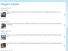 Tablet Screenshot of maggiepuppies8.blogspot.com