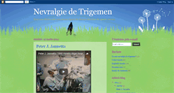 Desktop Screenshot of nevralgiedetrigemen.blogspot.com