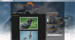 Desktop Screenshot of jackkelso.blogspot.com