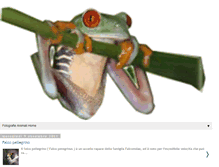 Tablet Screenshot of fotografieanimali.blogspot.com