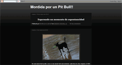 Desktop Screenshot of mordidaporunpitbul.blogspot.com