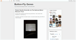 Desktop Screenshot of buttonfly.blogspot.com