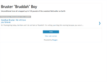 Tablet Screenshot of brusterboy.blogspot.com