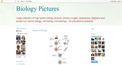 Desktop Screenshot of biology-pictures.blogspot.com