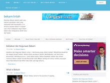 Tablet Screenshot of bekam-lintah.blogspot.com