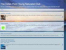 Tablet Screenshot of indianpointyoungnaturalistclub.blogspot.com