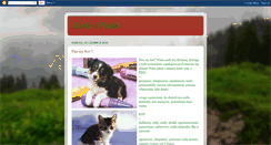 Desktop Screenshot of kotkiorazpieski.blogspot.com