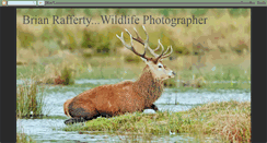 Desktop Screenshot of brianraffertywildlifephotographer.blogspot.com