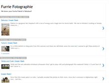 Tablet Screenshot of furriefotographie.blogspot.com