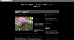 Desktop Screenshot of florademadrid.blogspot.com