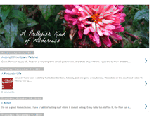 Tablet Screenshot of prettyishwilderness.blogspot.com