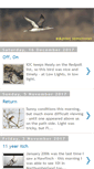 Mobile Screenshot of birdingsometimes.blogspot.com
