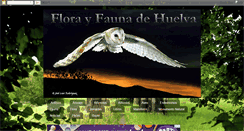 Desktop Screenshot of florayfaunadehuelva.blogspot.com