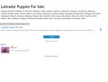 Tablet Screenshot of labrador-puppies-for-sale.blogspot.com