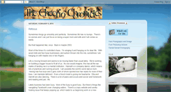 Desktop Screenshot of cheeriochronicles.blogspot.com