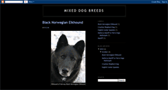 Desktop Screenshot of mixeddogbreeds.blogspot.com