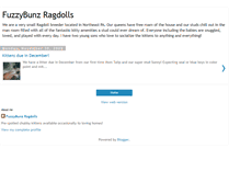 Tablet Screenshot of fuzzybunzragdolls.blogspot.com