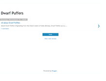 Tablet Screenshot of dwarf-puffers.blogspot.com