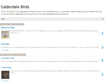 Tablet Screenshot of calderbirds.blogspot.com