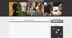 Desktop Screenshot of greydogphotography.blogspot.com