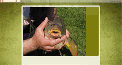 Desktop Screenshot of castelliromanifishing.blogspot.com