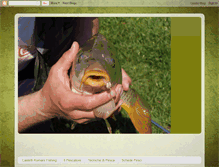 Tablet Screenshot of castelliromanifishing.blogspot.com