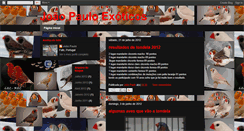 Desktop Screenshot of j-p-exoticos.blogspot.com