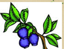 Tablet Screenshot of berryswildtravels.blogspot.com