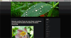 Desktop Screenshot of laurentiucimpoaca.blogspot.com