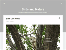 Tablet Screenshot of birdsandnature.blogspot.com