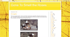 Desktop Screenshot of gonetosmelltheroses.blogspot.com