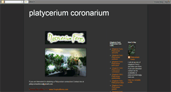 Desktop Screenshot of platyceriumcoronarium.blogspot.com
