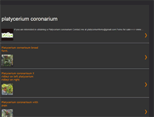 Tablet Screenshot of platyceriumcoronarium.blogspot.com