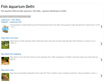 Tablet Screenshot of fishaquarium-delhi.blogspot.com