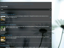 Tablet Screenshot of fdhorsetraining.blogspot.com
