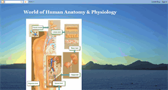 Desktop Screenshot of human-anatomyphysiology.blogspot.com