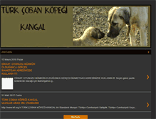 Tablet Screenshot of kangaluretimciftligi.blogspot.com