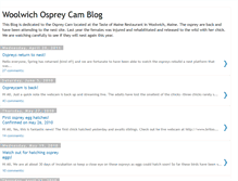 Tablet Screenshot of ospreycam1.blogspot.com
