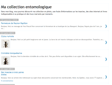 Tablet Screenshot of entomocollection.blogspot.com
