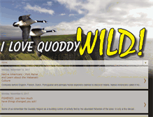 Tablet Screenshot of ilovequoddywild.blogspot.com