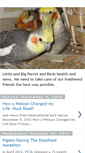 Mobile Screenshot of littleandbigparrots.blogspot.com